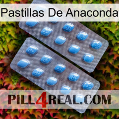 Anaconda Pills viagra4